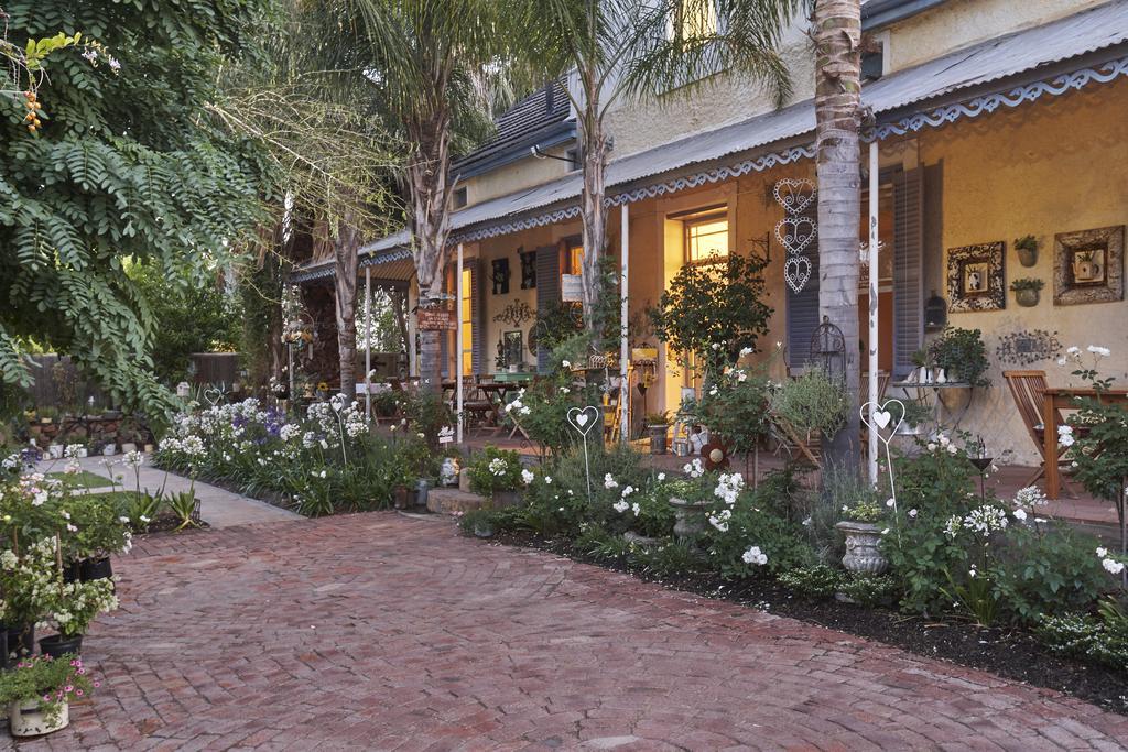 Yellow Aloe Clanwilliam Exterior photo