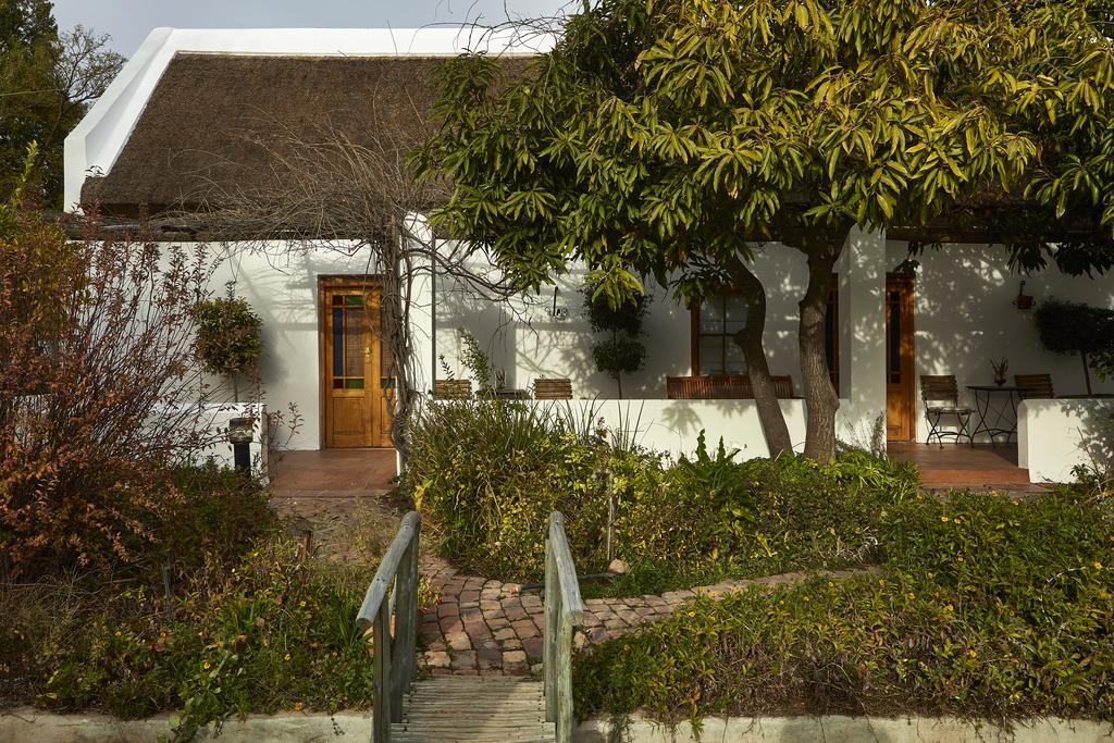 Yellow Aloe Clanwilliam Exterior photo
