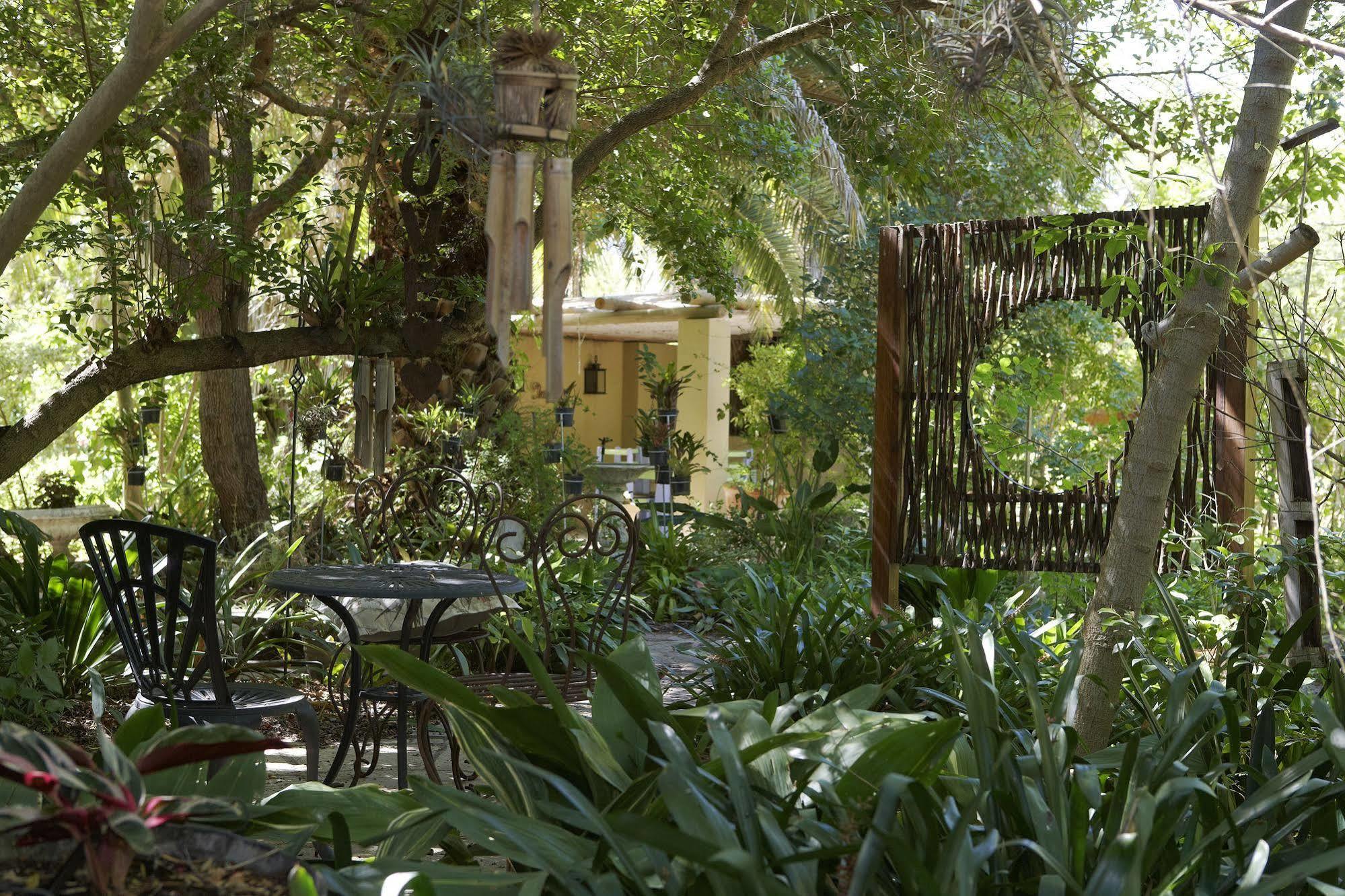 Yellow Aloe Clanwilliam Exterior photo