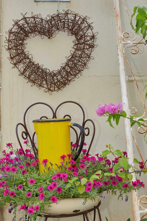 Yellow Aloe Clanwilliam Exterior photo